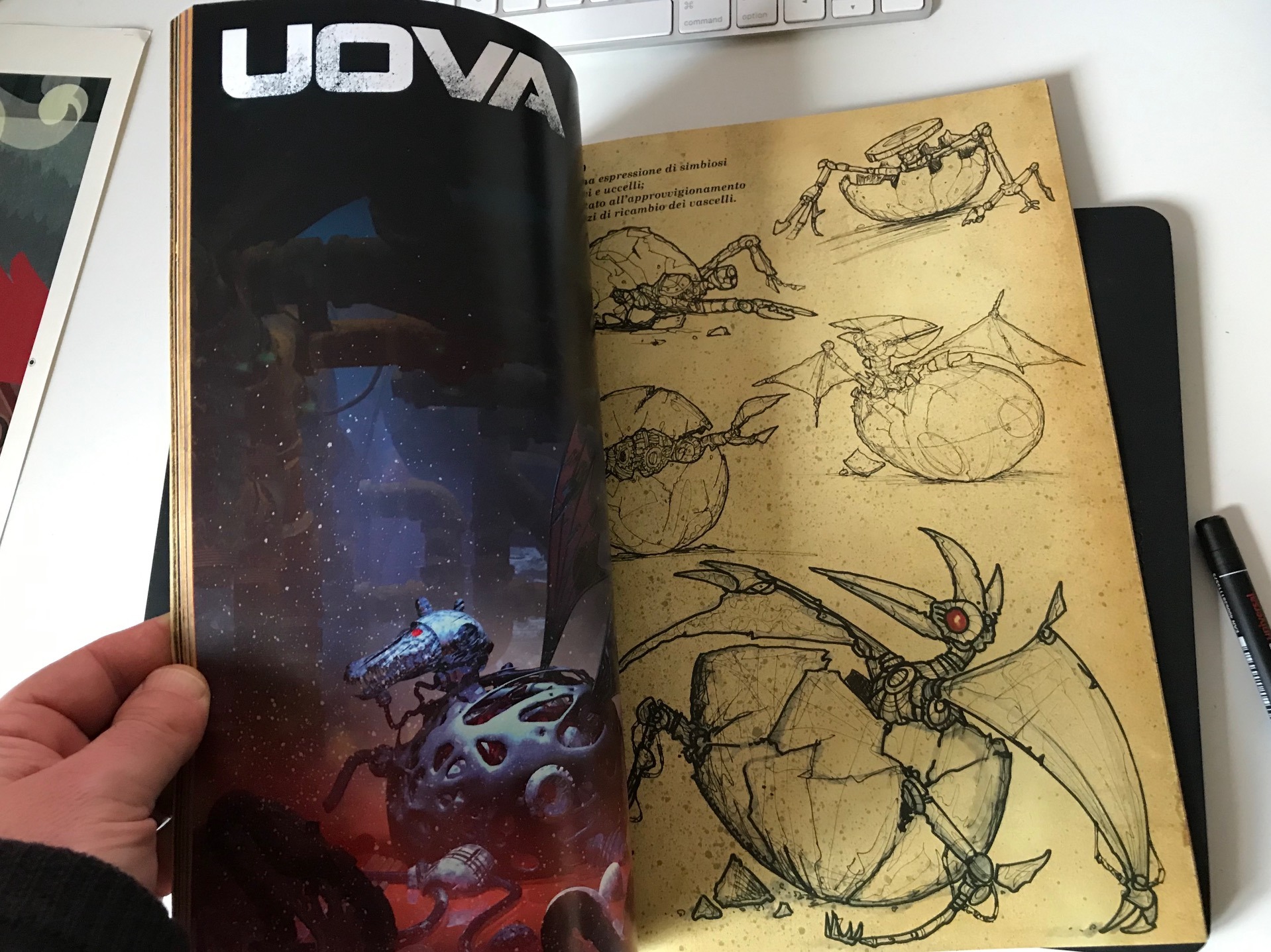 Art Book di Franco Brambilla: Uova di Nave su Mondo9