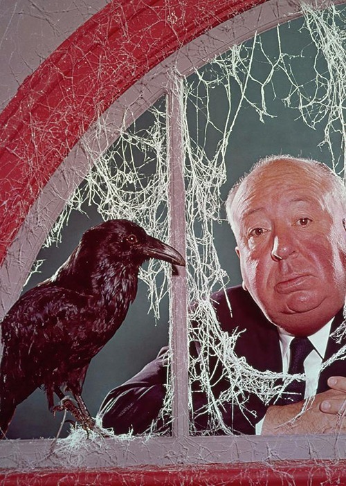 Gli uccelli, Alfred Hitchcock